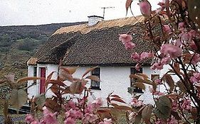 Connemara Country Cottages