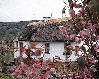 Connemara Country Cottages Glentrasna Exterior photo